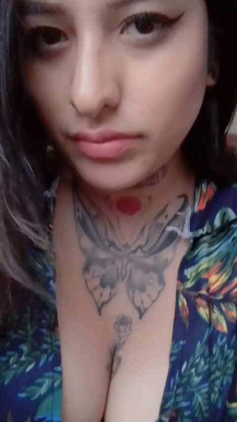 Video 2 de Bin